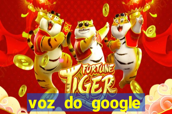 voz do google tradutor homem