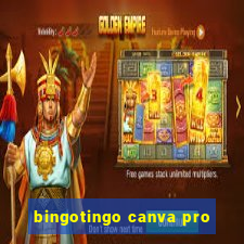 bingotingo canva pro