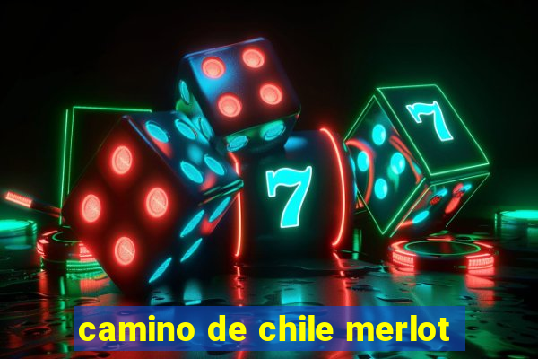 camino de chile merlot
