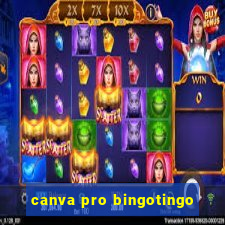 canva pro bingotingo