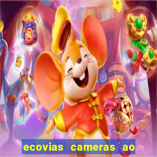 ecovias cameras ao vivo santos